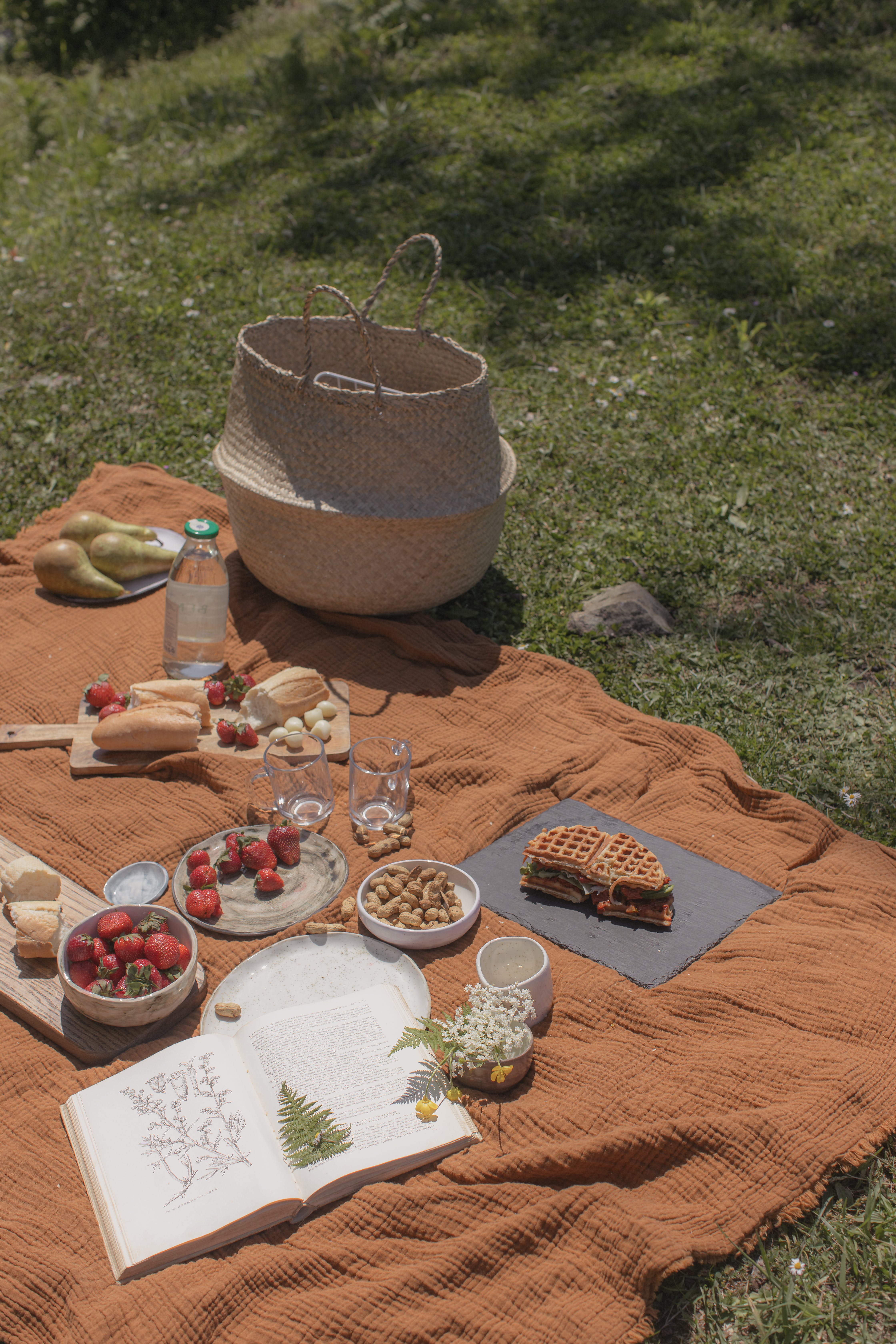 Photo by Yaroslav Shuraev: https://www.pexels.com/photo/brown-picnic-blanket-on-green-
            grass-4503875/